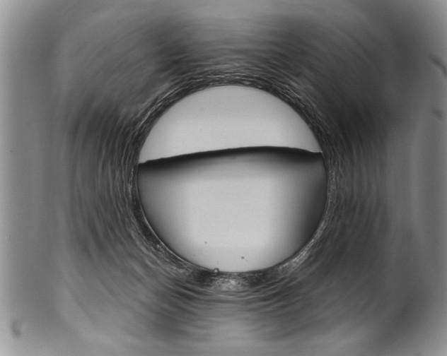 X0000101120174200806261054