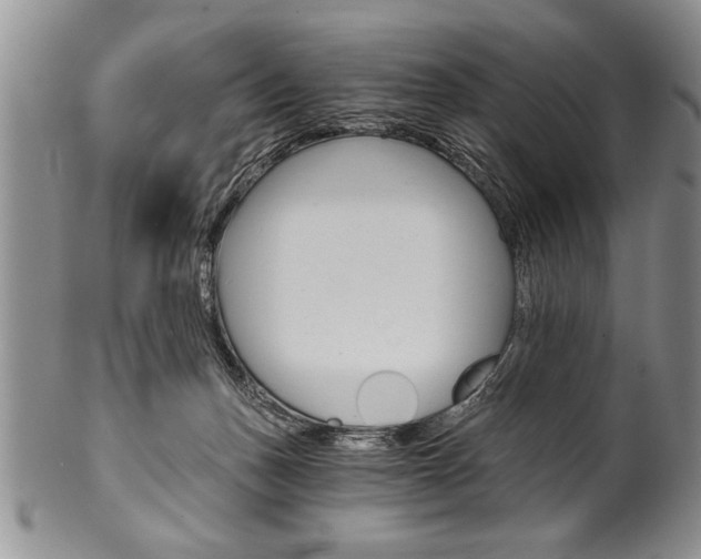 X0000101120175200806261054