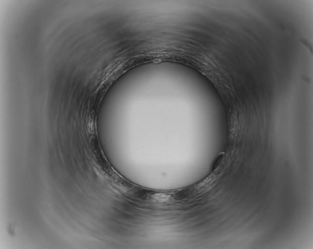 X0000101120176200806261054