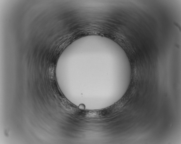 X0000101120177200806261054