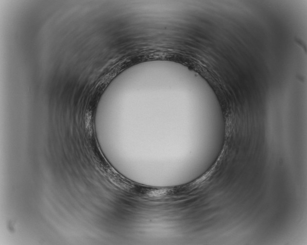 X0000101120178200806261054