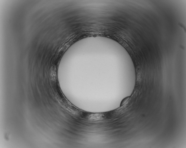 X0000101120179200806261054