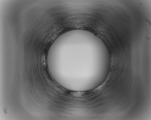 X0000101120182200806261054