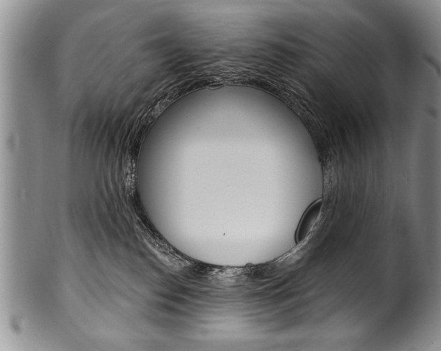 X0000101120186200806261054