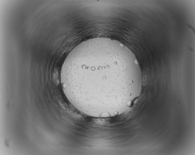 X0000101120187200806261054