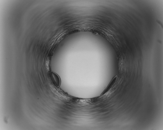 X0000101120188200806261054