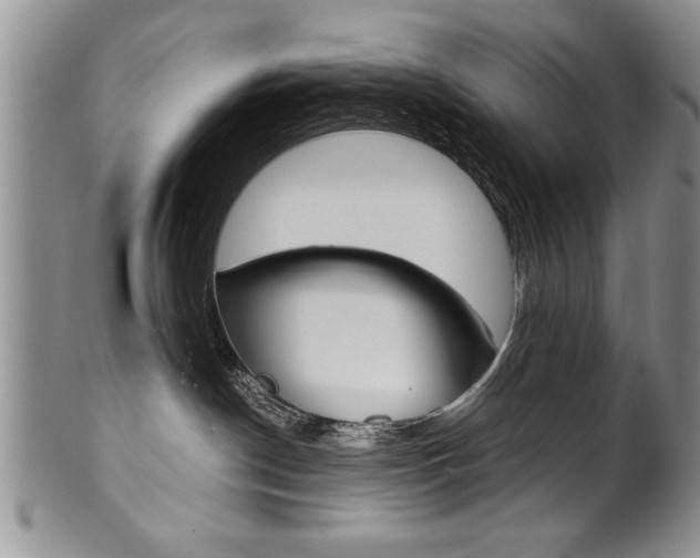 X0000101120190200806261054
