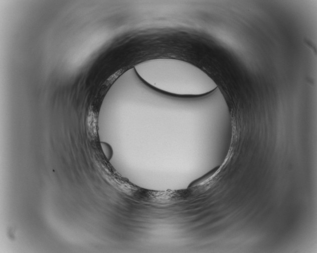 X0000101120191200806261054