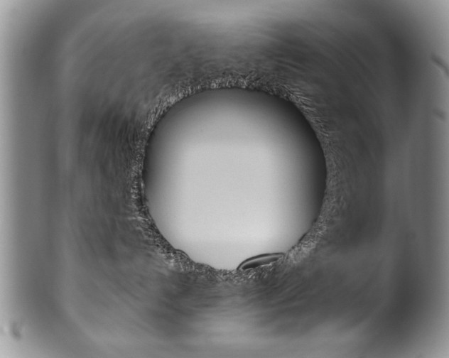 X0000101120192200806261054