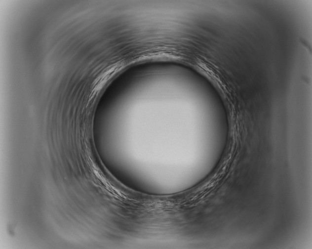 X0000101120193200806261053