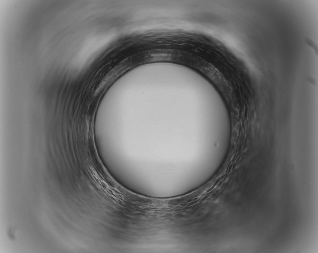 X0000101120194200806261053