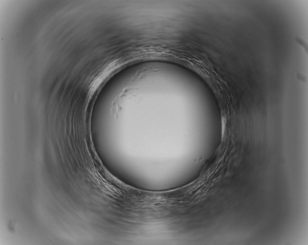 X0000101120195200806261053