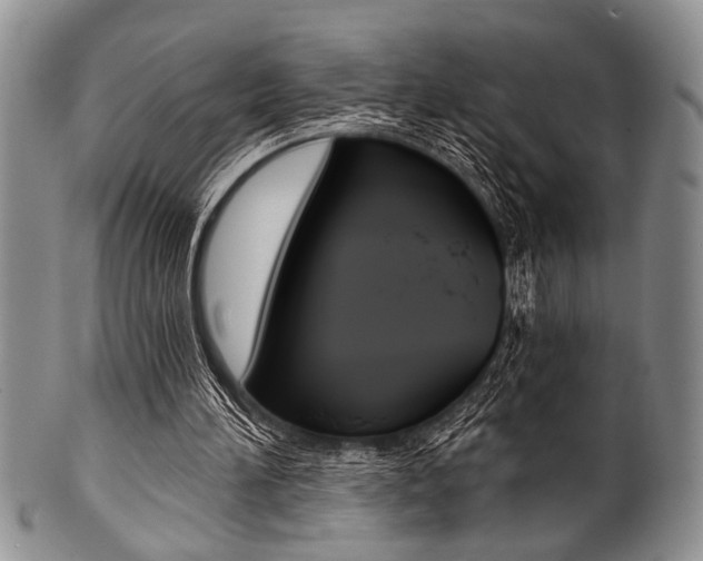 X0000101120196200806261053