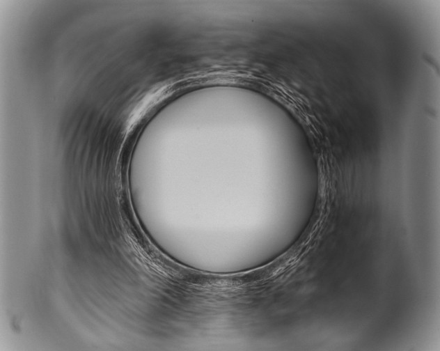 X0000101120198200806261053