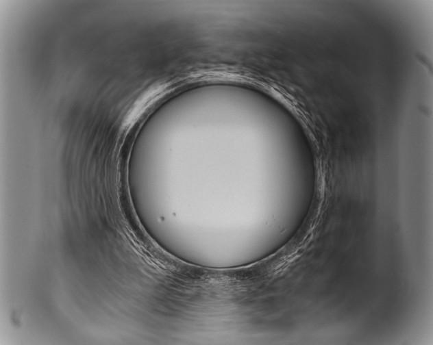 X0000101120199200806261053