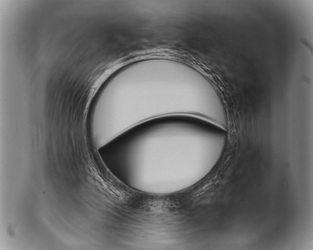 X0000101120200200806261053