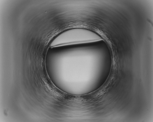 X0000101120201200806261053