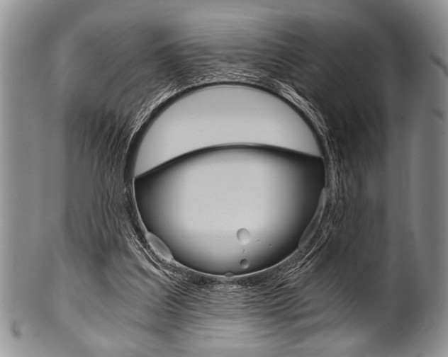 X0000101120203200806261053