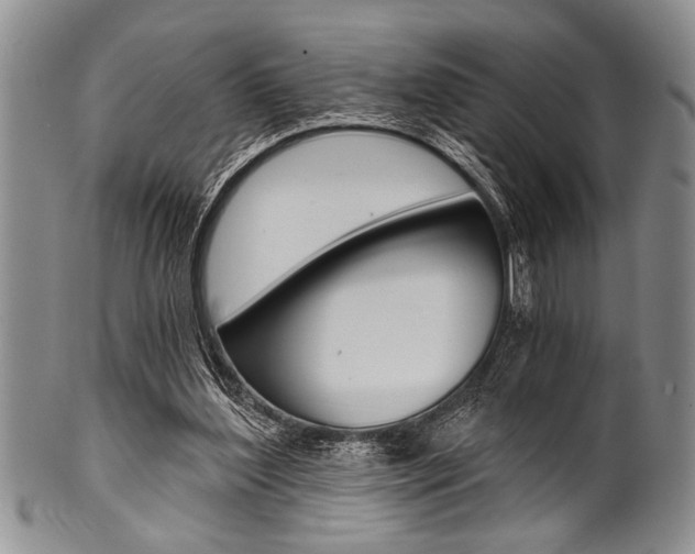 X0000101120204200806261053