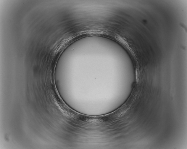 X0000101120205200806261053