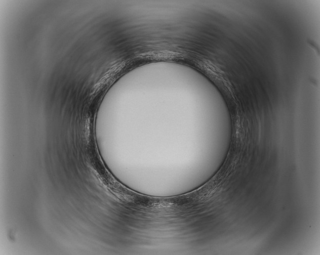 X0000101120206200806261053