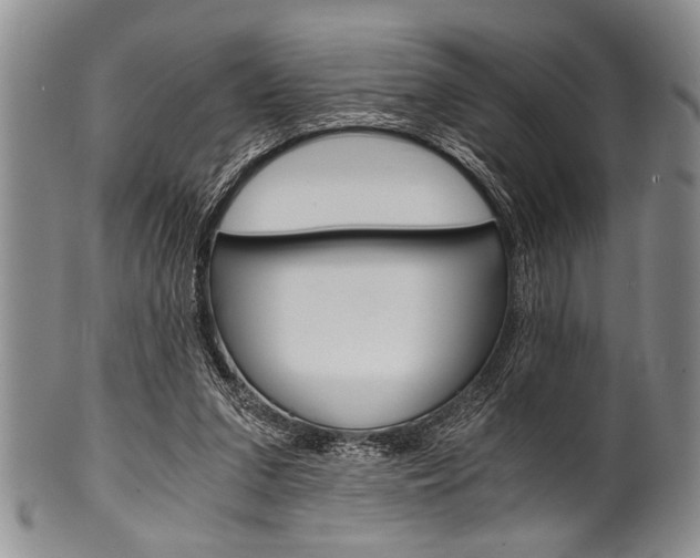 X0000101120207200806261053