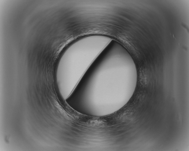 X0000101120208200806261053