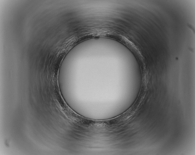 X0000101120209200806261053