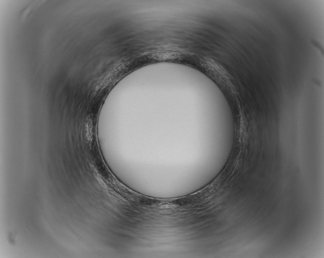 X0000101120210200806261053