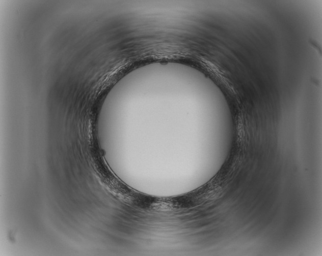 X0000101120211200806261053