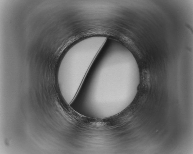 X0000101120212200806261053