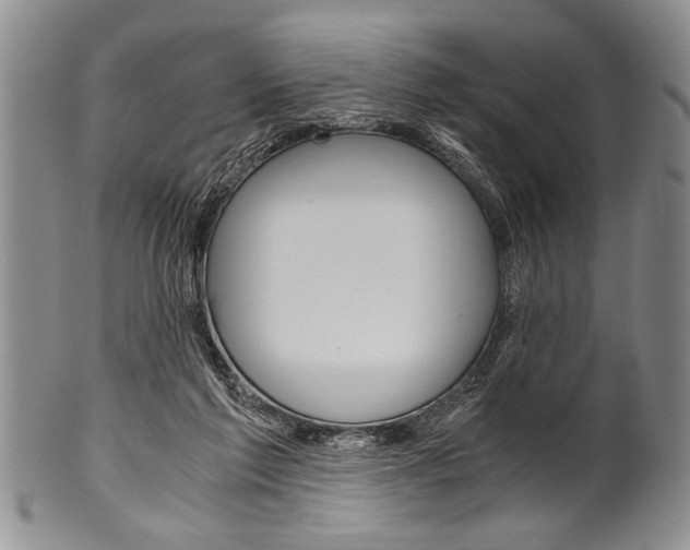 X0000101120213200806261053