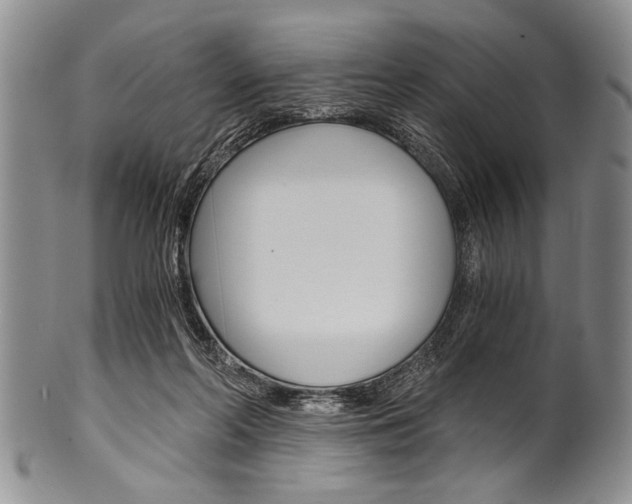 X0000101120214200806261053
