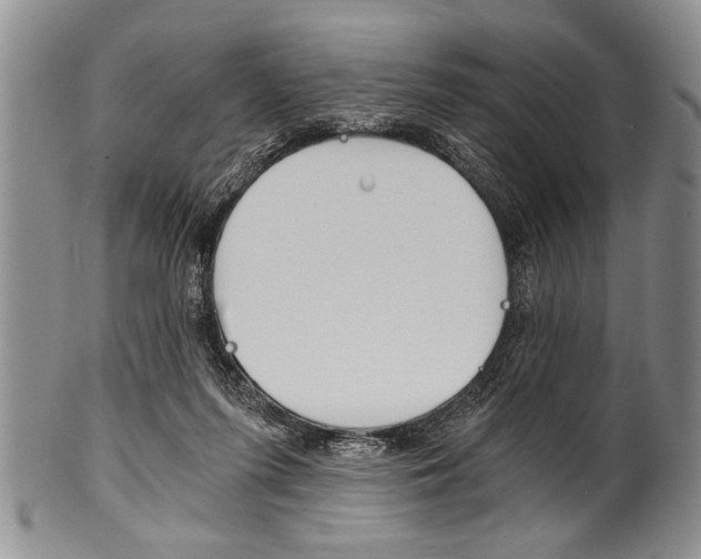 X0000101120215200806261053