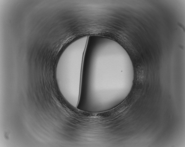 X0000101120216200806261053