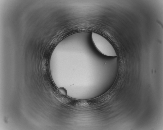 X0000101120217200806261053