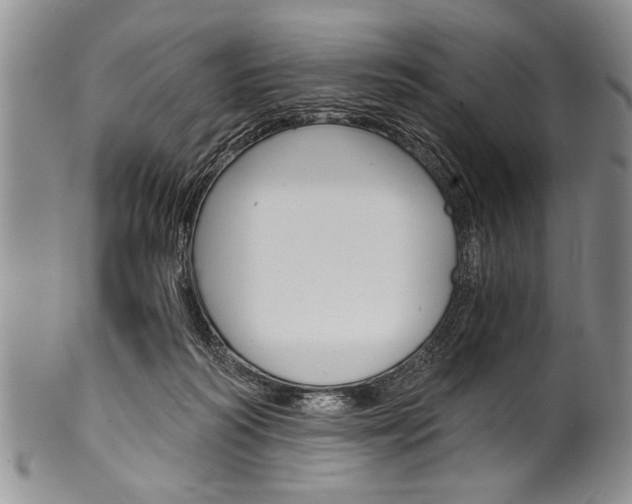 X0000101120218200806261053