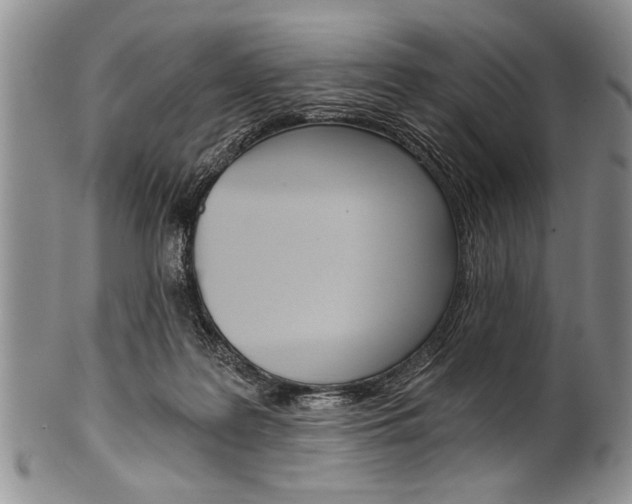 X0000101120219200806261053