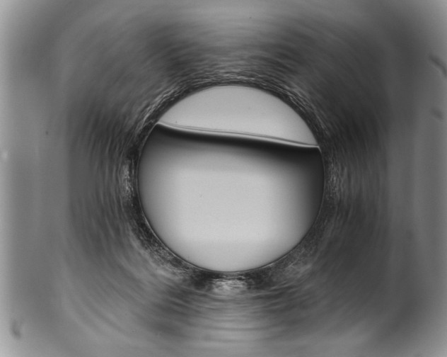 X0000101120220200806261053