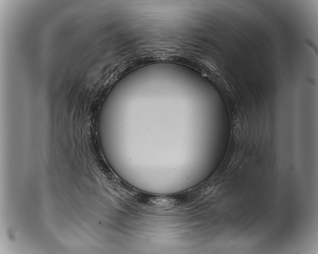 X0000101120221200806261053