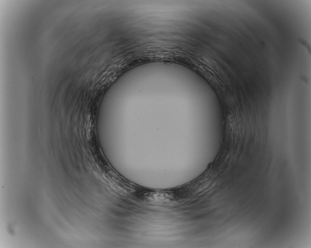 X0000101120223200806261053
