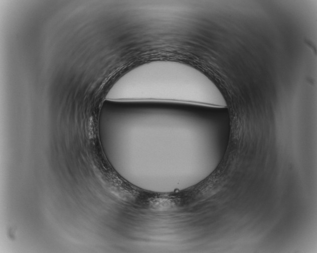 X0000101120224200806261053