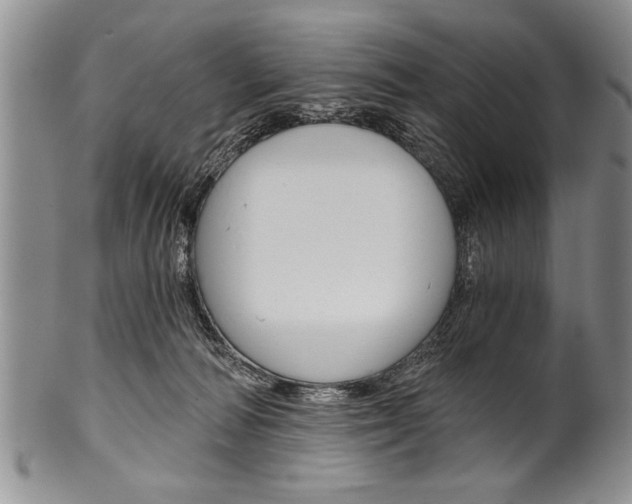 X0000101120226200806261053