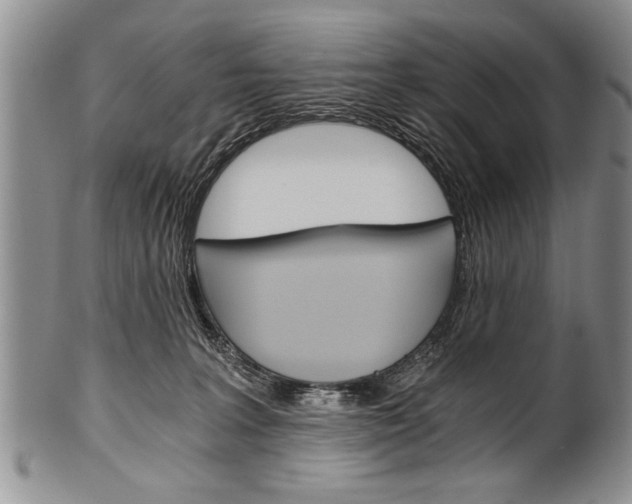 X0000101120227200806261053