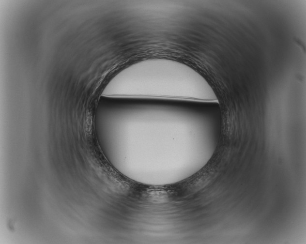X0000101120228200806261053
