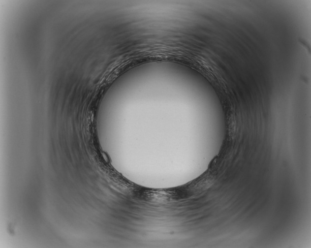 X0000101120229200806261053