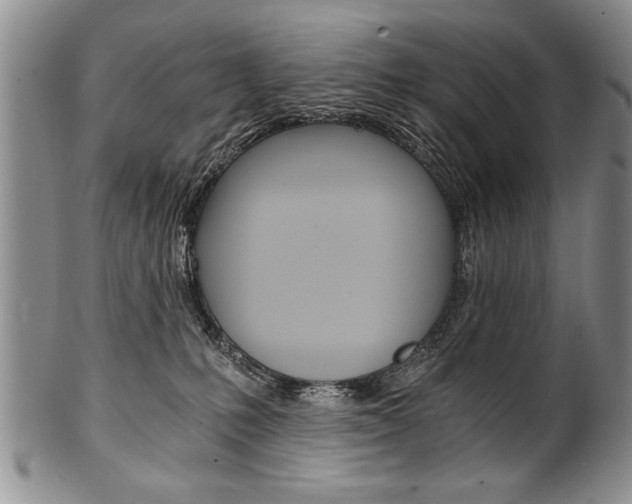 X0000101120231200806261053
