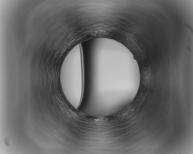 X0000101120232200806261053
