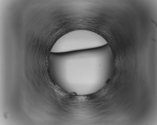 X0000101120233200806261053