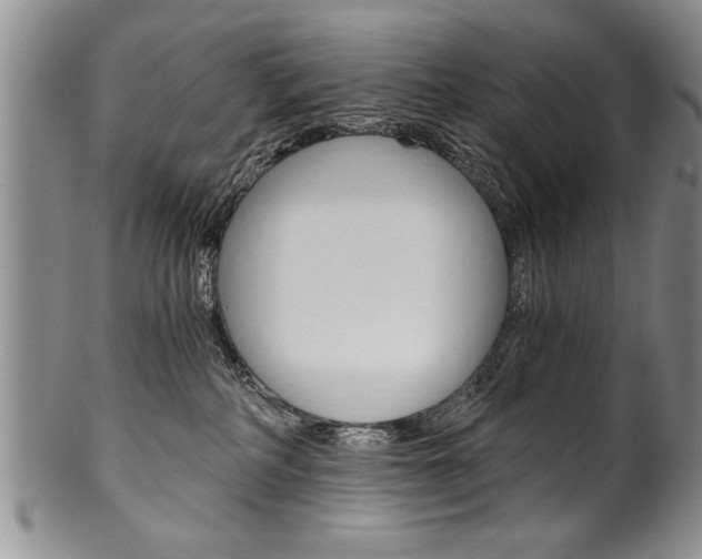 X0000101120234200806261053